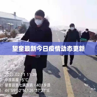 望奎最新今日疫情動(dòng)態(tài)更新