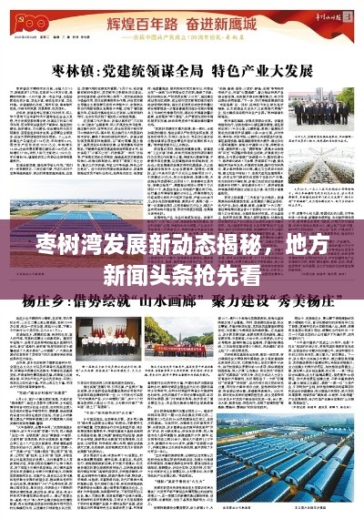 棗樹灣發(fā)展新動(dòng)態(tài)揭秘，地方新聞?lì)^條搶先看