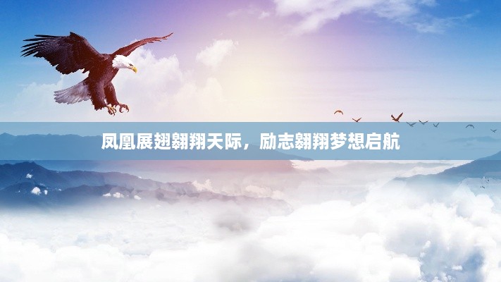 鳳凰展翅翱翔天際，勵(lì)志翱翔夢(mèng)想啟航