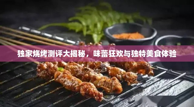 獨(dú)家燒烤測(cè)評(píng)大揭秘，味蕾狂歡與獨(dú)特美食體驗(yàn)