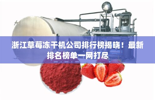 浙江草莓凍干機(jī)公司排行榜揭曉！最新排名榜單一網(wǎng)打盡