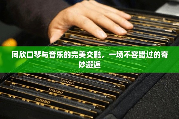同欣口琴與音樂的完美交融，一場不容錯過的奇妙邂逅