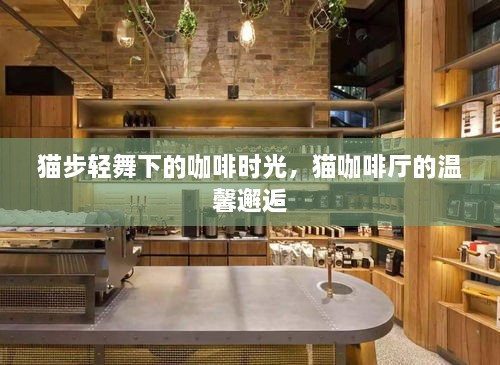 貓步輕舞下的咖啡時(shí)光，貓咖啡廳的溫馨邂逅