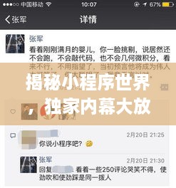 揭秘小程序世界，獨(dú)家內(nèi)幕大放送！