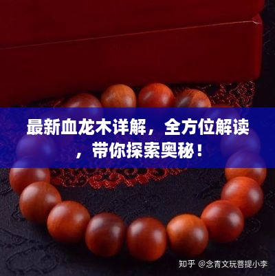最新血龍木詳解，全方位解讀，帶你探索奧秘！