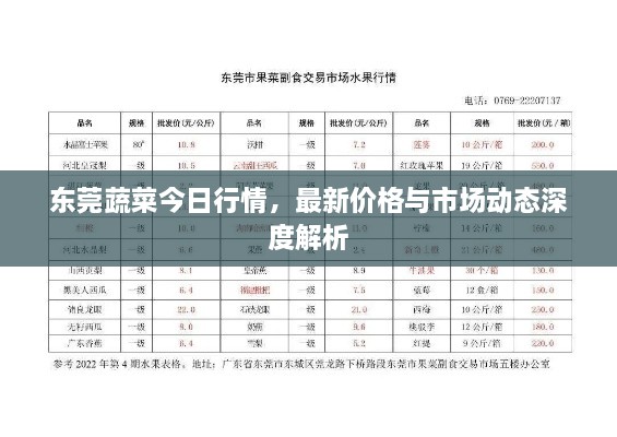 東莞蔬菜今日行情，最新價(jià)格與市場動(dòng)態(tài)深度解析