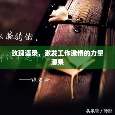 玫瑰語錄，激發(fā)工作激情的力量源泉