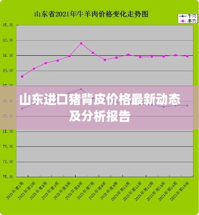 山東進(jìn)口豬背皮價(jià)格最新動(dòng)態(tài)及分析報(bào)告