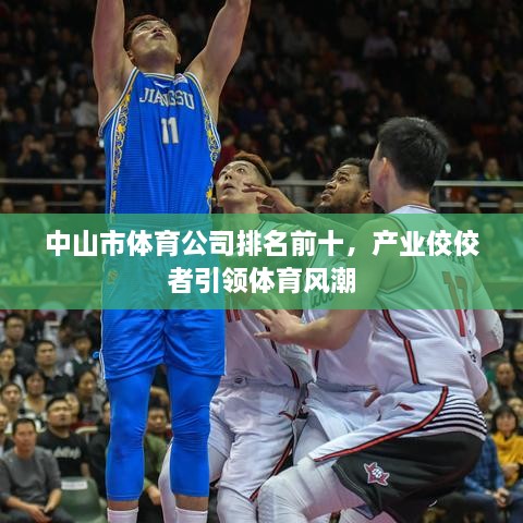中山市體育公司排名前十，產(chǎn)業(yè)佼佼者引領(lǐng)體育風(fēng)潮