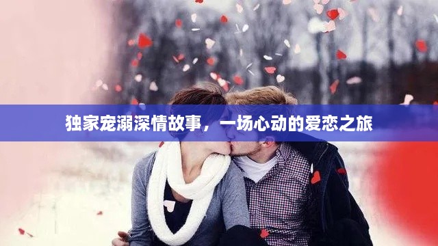 獨(dú)家寵溺深情故事，一場(chǎng)心動(dòng)的愛戀之旅