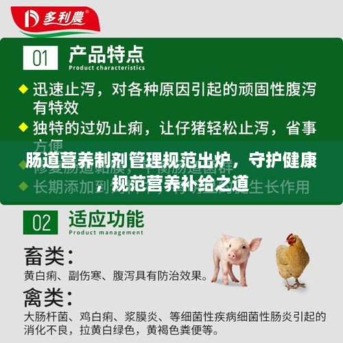 腸道營養(yǎng)制劑管理規(guī)范出爐，守護(hù)健康，規(guī)范營養(yǎng)補(bǔ)給之道