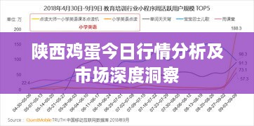 陜西雞蛋今日行情分析及市場(chǎng)深度洞察