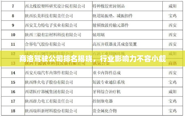 商洛駕駛公司排名揭曉，行業(yè)影響力不容小覷