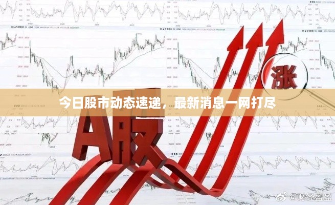 今日股市動態(tài)速遞，最新消息一網打盡