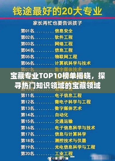寶藏專業(yè)TOP10榜單揭曉，探尋熱門知識領域的寶藏領域