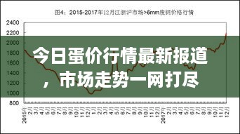 今日蛋價(jià)行情最新報(bào)道，市場(chǎng)走勢(shì)一網(wǎng)打盡