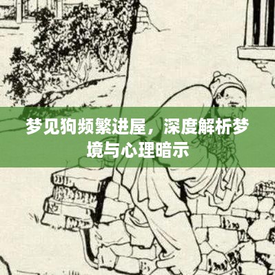 夢(mèng)見狗頻繁進(jìn)屋，深度解析夢(mèng)境與心理暗示