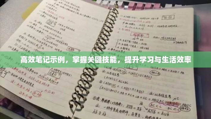 高效筆記示例，掌握關(guān)鍵技能，提升學(xué)習(xí)與生活效率