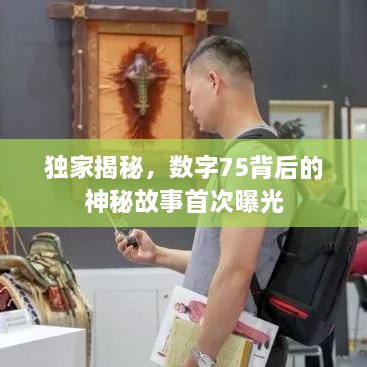 獨(dú)家揭秘，數(shù)字75背后的神秘故事首次曝光