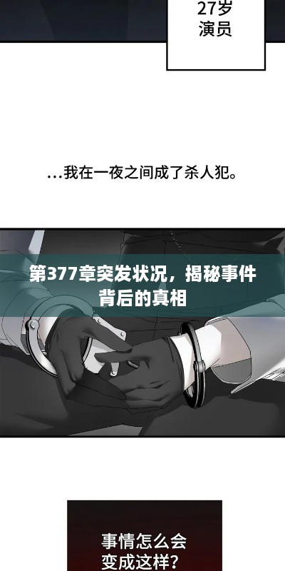 第377章突發(fā)狀況，揭秘事件背后的真相