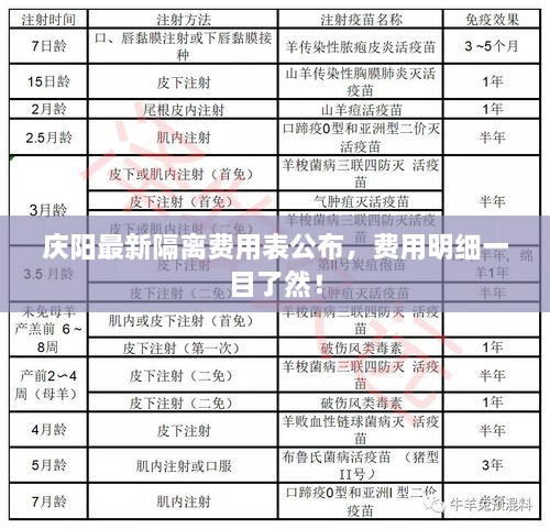 慶陽最新隔離費用表公布，費用明細(xì)一目了然！