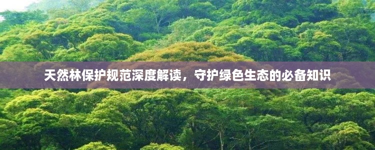 天然林保護(hù)規(guī)范深度解讀，守護(hù)綠色生態(tài)的必備知識(shí)
