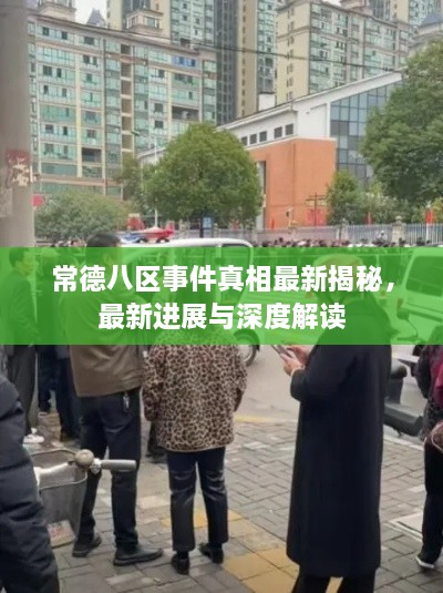 常德八區(qū)事件真相最新揭秘，最新進(jìn)展與深度解讀