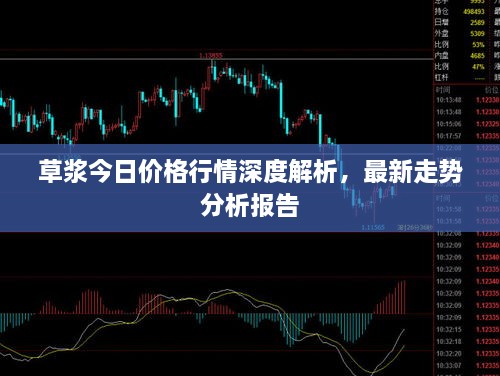 草漿今日價(jià)格行情深度解析，最新走勢(shì)分析報(bào)告
