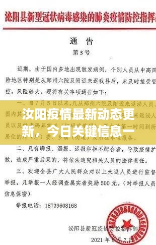 汝陽疫情最新動態(tài)更新，今日關(guān)鍵信息一網(wǎng)打盡