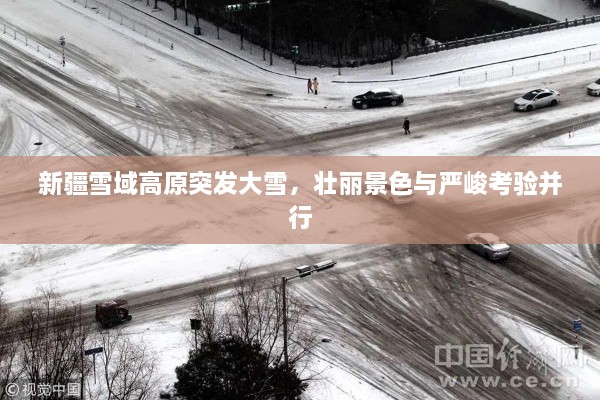 新疆雪域高原突發(fā)大雪，壯麗景色與嚴(yán)峻考驗(yàn)并行