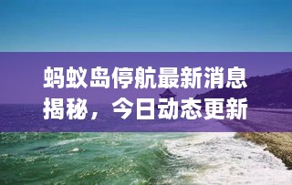 螞蟻島停航最新消息揭秘，今日動(dòng)態(tài)更新！