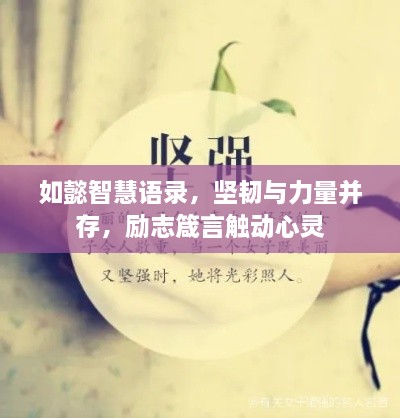 如懿智慧語錄，堅(jiān)韌與力量并存，勵(lì)志箴言觸動(dòng)心靈