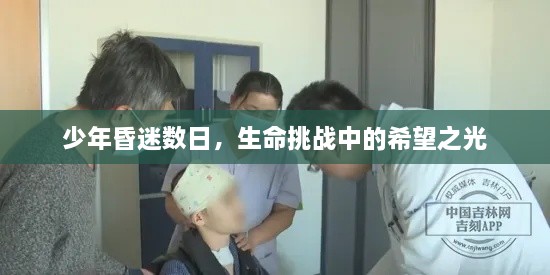 少年昏迷數(shù)日，生命挑戰(zhàn)中的希望之光