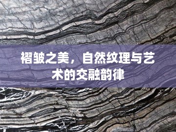 褶皺之美，自然紋理與藝術(shù)的交融韻律