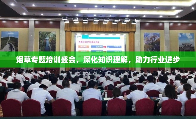 煙草專題培訓(xùn)盛會，深化知識理解，助力行業(yè)進(jìn)步