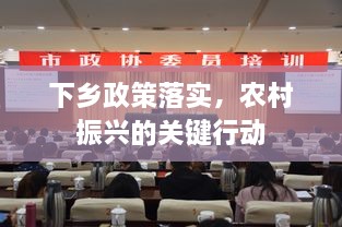 下鄉(xiāng)政策落實，農(nóng)村振興的關(guān)鍵行動