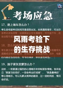 風(fēng)雨考驗下的生存挑戰(zhàn)與應(yīng)對策略，突發(fā)事件應(yīng)對指南