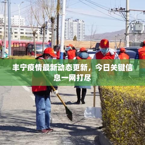 豐寧疫情最新動(dòng)態(tài)更新，今日關(guān)鍵信息一網(wǎng)打盡