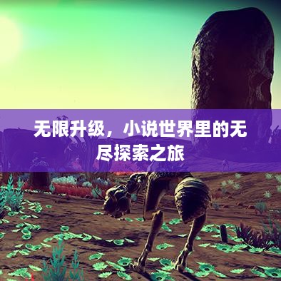 無限升級，小說世界里的無盡探索之旅