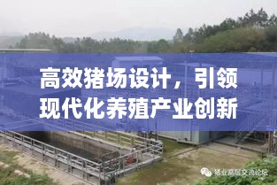 高效豬場設(shè)計(jì)，引領(lǐng)現(xiàn)代化養(yǎng)殖產(chǎn)業(yè)創(chuàng)新標(biāo)桿之路