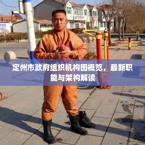 定州市政府組織機構圖概覽，最新職能與架構解讀