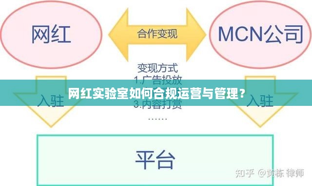 網(wǎng)紅實驗室如何合規(guī)運營與管理？