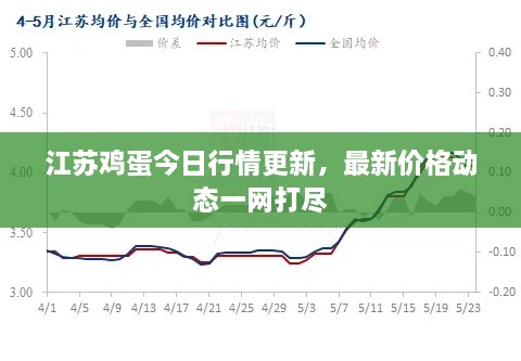 江蘇雞蛋今日行情更新，最新價格動態(tài)一網打盡
