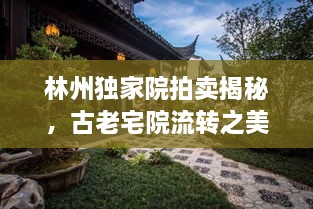 林州獨家院拍賣揭秘，古老宅院流轉(zhuǎn)之美，吸引你的目光！