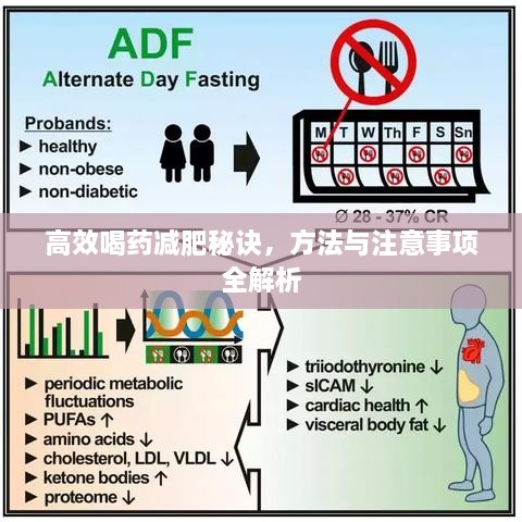 高效喝藥減肥秘訣，方法與注意事項全解析
