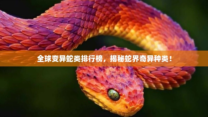 全球變異蛇類排行榜，揭秘蛇界奇異種類！