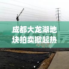 成都大龍湖地塊拍賣掀起熱潮，最新消息揭秘！