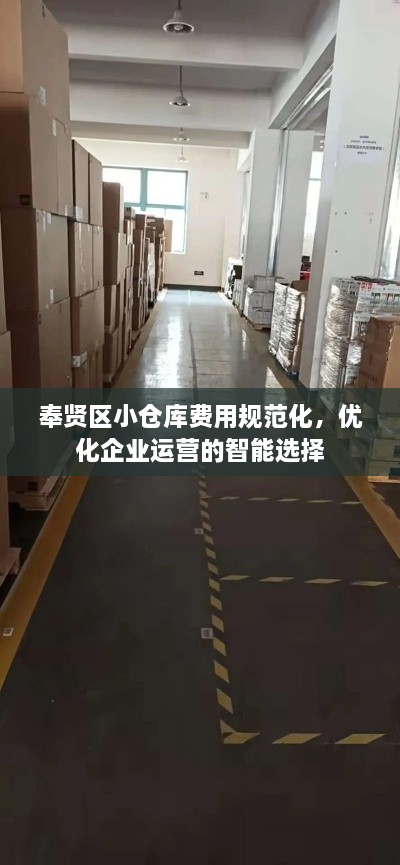 奉賢區(qū)小倉庫費(fèi)用規(guī)范化，優(yōu)化企業(yè)運(yùn)營的智能選擇