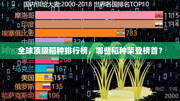全球頂級(jí)稻種排行榜，哪些稻種榮登榜首？