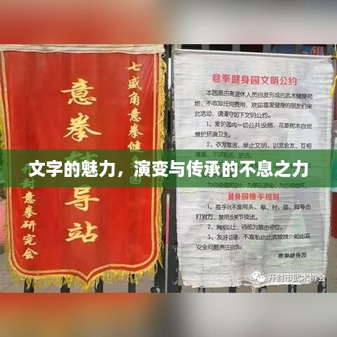 文字的魅力，演變與傳承的不息之力